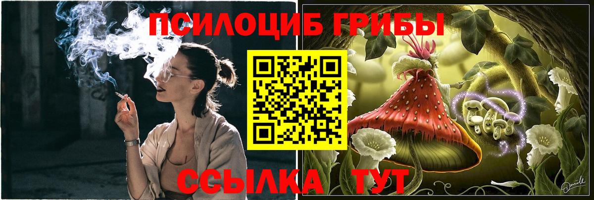 Аксай  Галлюциногенные грибы Psilocybe  Вход с VPN 